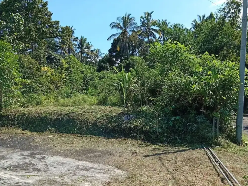 Tanah Riverside 78,5 Are Zona Kuning Dijual di Penebel Tabanan