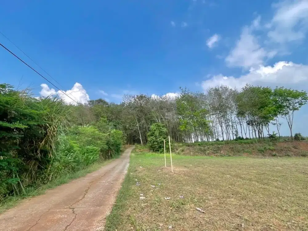 Dijual Tanah Pinggir Jalan di Perbatasan Campaka Bungursari Purwakarta