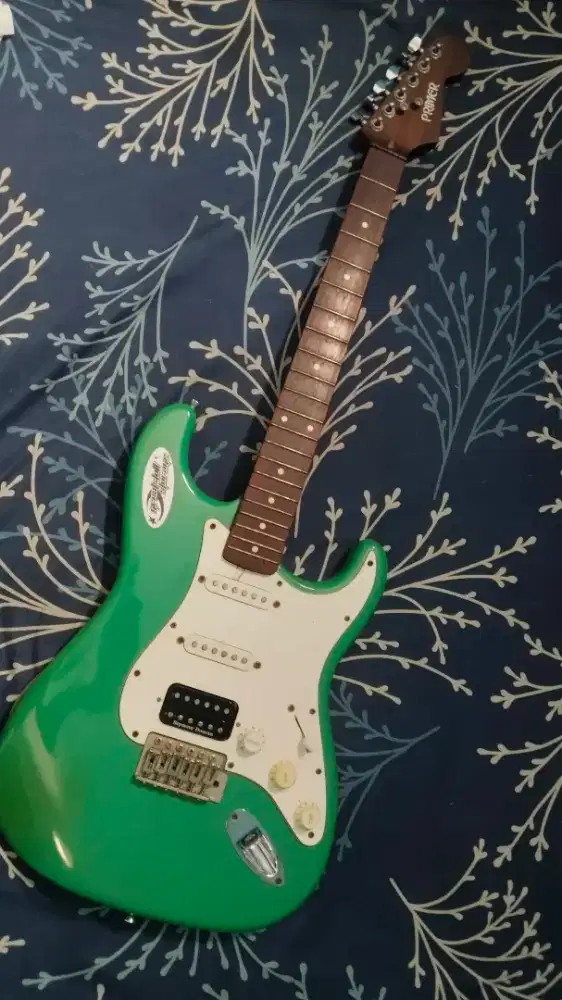 Gitar elektrik upgrade pickup