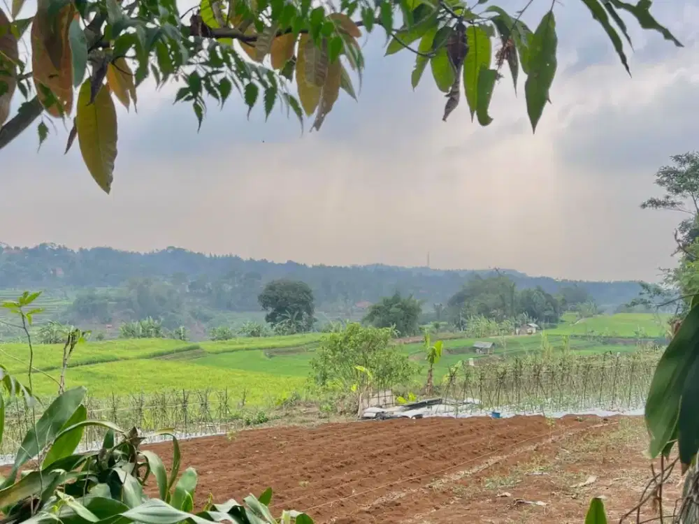 Dijual Murah Tanah Kebun Akses Mobil View Bagus di Bojong Purwakarta