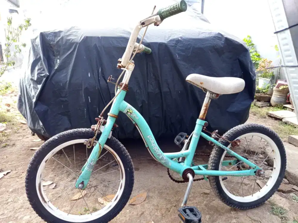 Sepeda anak polygon