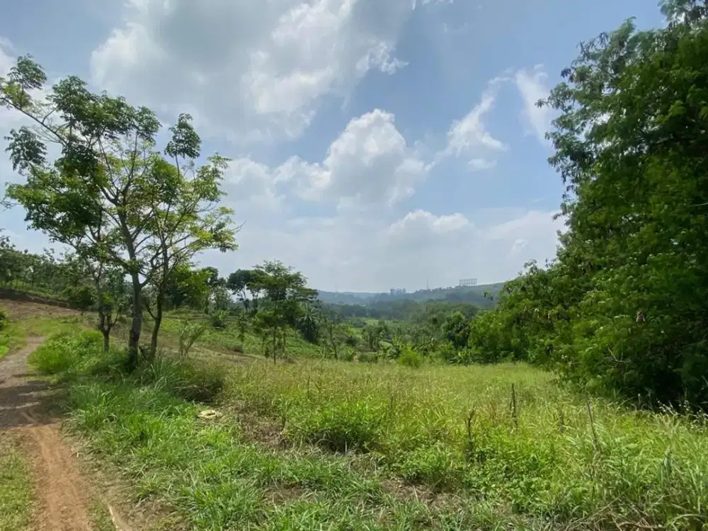 DIJUAL TANAH LUAS DI PURWAKARTA – COCOK UNTUK INVESTASI