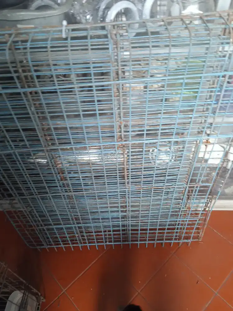 Kandang kucing ukuran 90x60x70 besar befi tebal