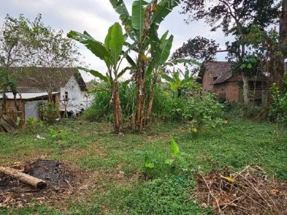 Dijual Murah Tanah Siap Bangun, di Jalan Raya Bodean Krajan, Gang Anyelir Toyomarto, Kec. Singosari Malang
