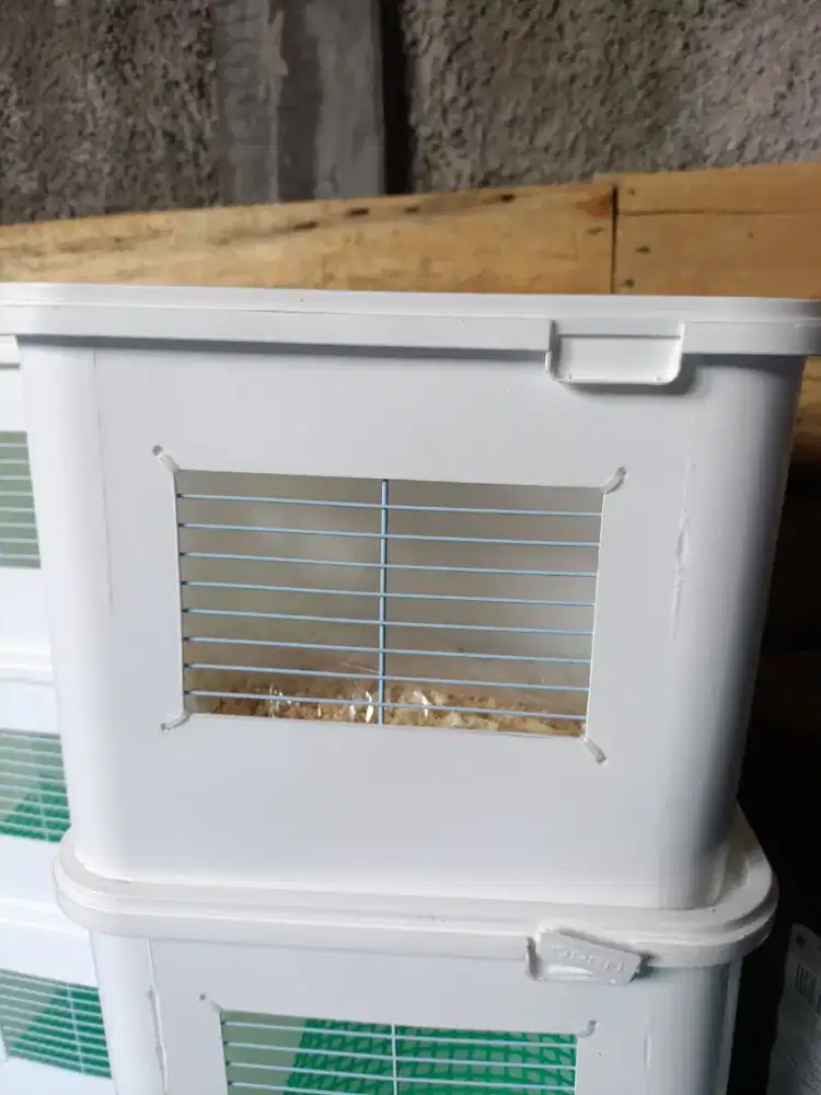 Box loloh , box penghangat anakan burung/hamster