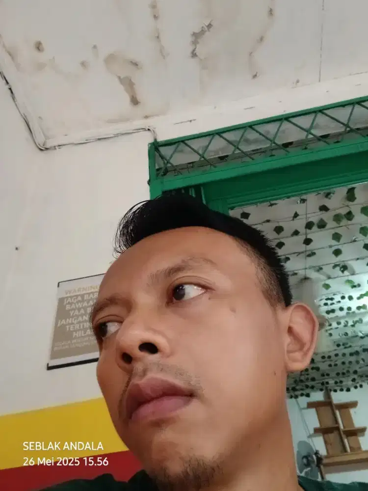 Cari kerja harian
