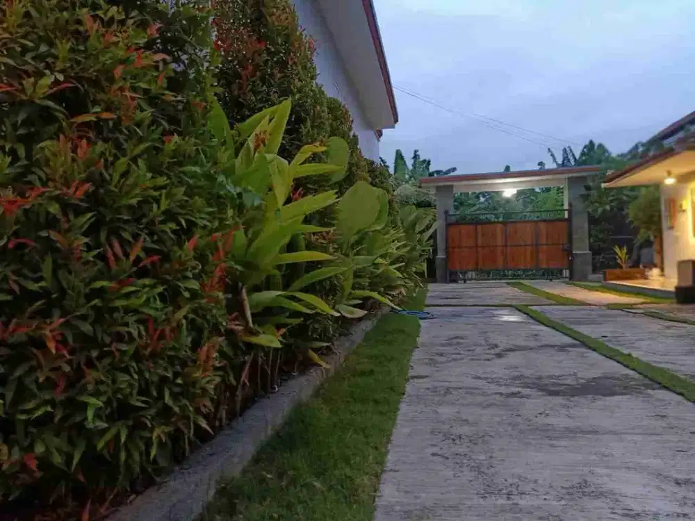 Di kontrakan rumah jalan Tukad Badung , Renon, Denpasar, Bali