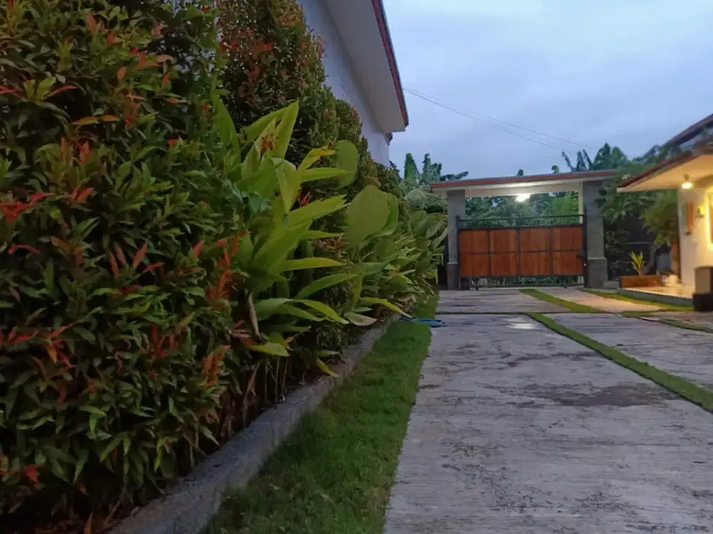 Di kontrakan rumah jalan Tukad Badung , DPS, Bali