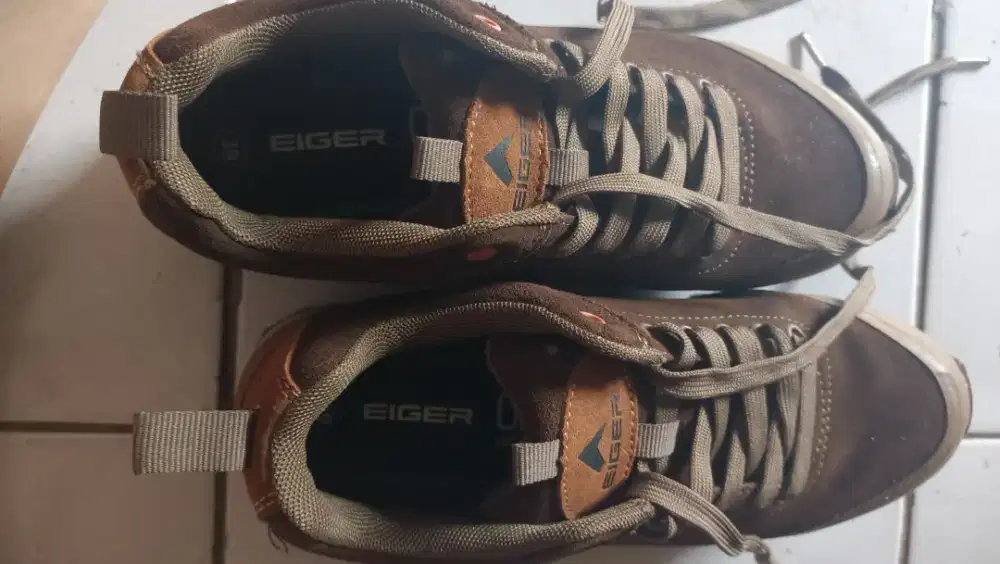Sepatu Eiger Asli