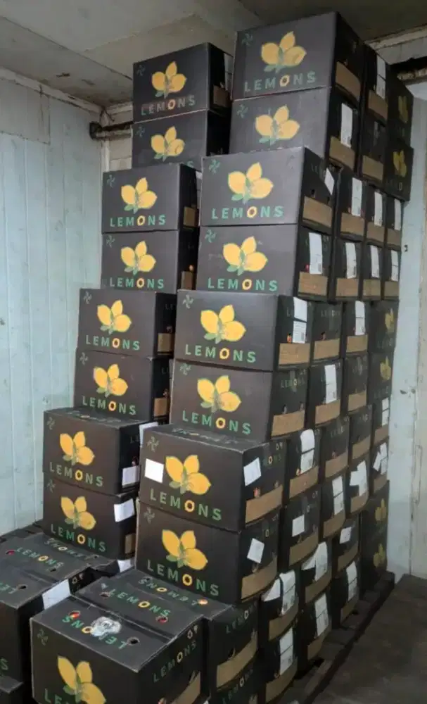 Lemon Import Jakarta