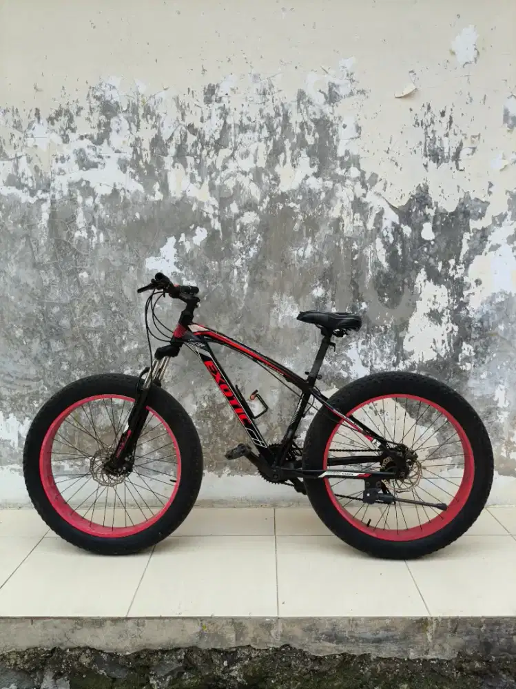EXOTIC UK 26 TINGGAL GOWES