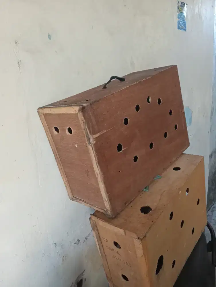 Box untuk kirim ayam