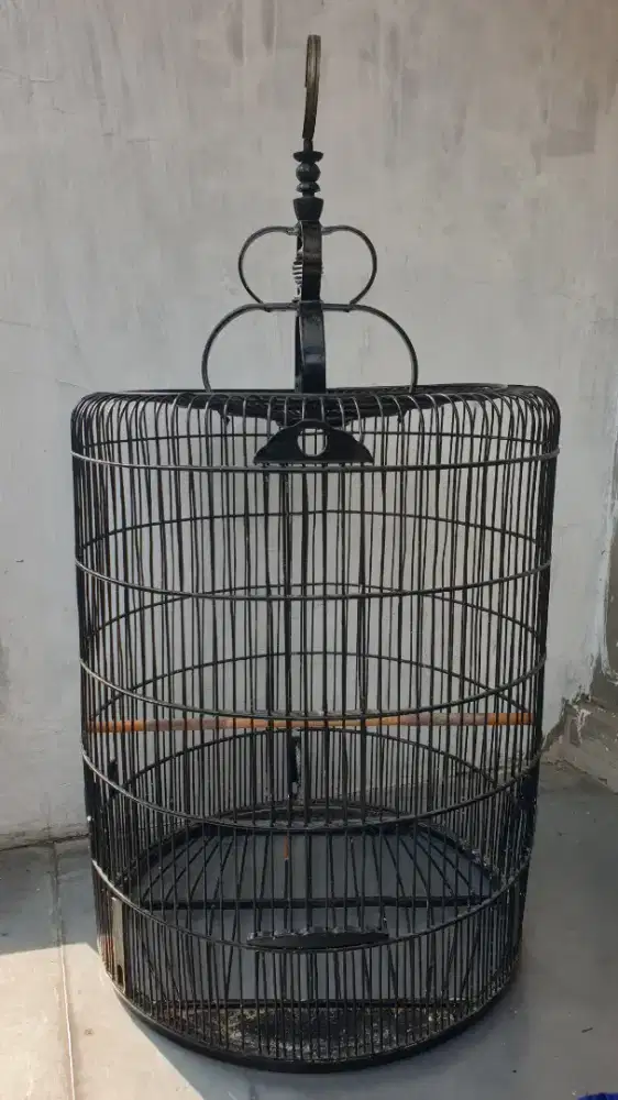 Sangkar murai no 3