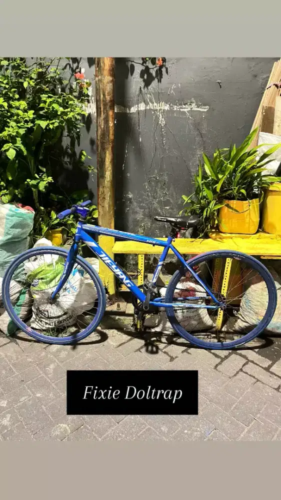 Sepeda fixie doltrap