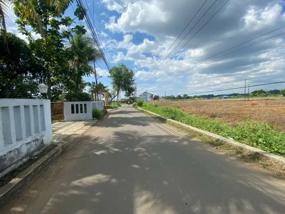 Kavling Kost 7 Menit ke IPB Dramaga Fasum Jalan 5 Meter