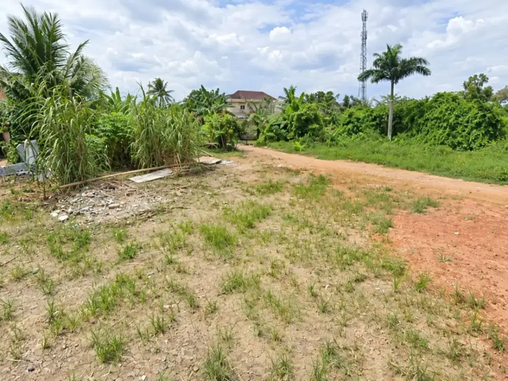 DIJUAL TANAH KANCIL PUTIH DEMANG LEBAR DAUN PALEMBANG