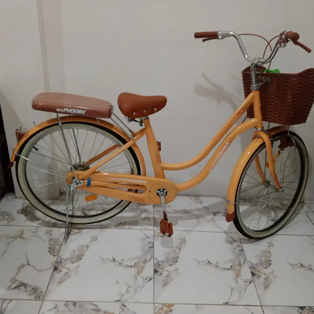 Bismillah di jual aja nih gan sepeda mini nya,.