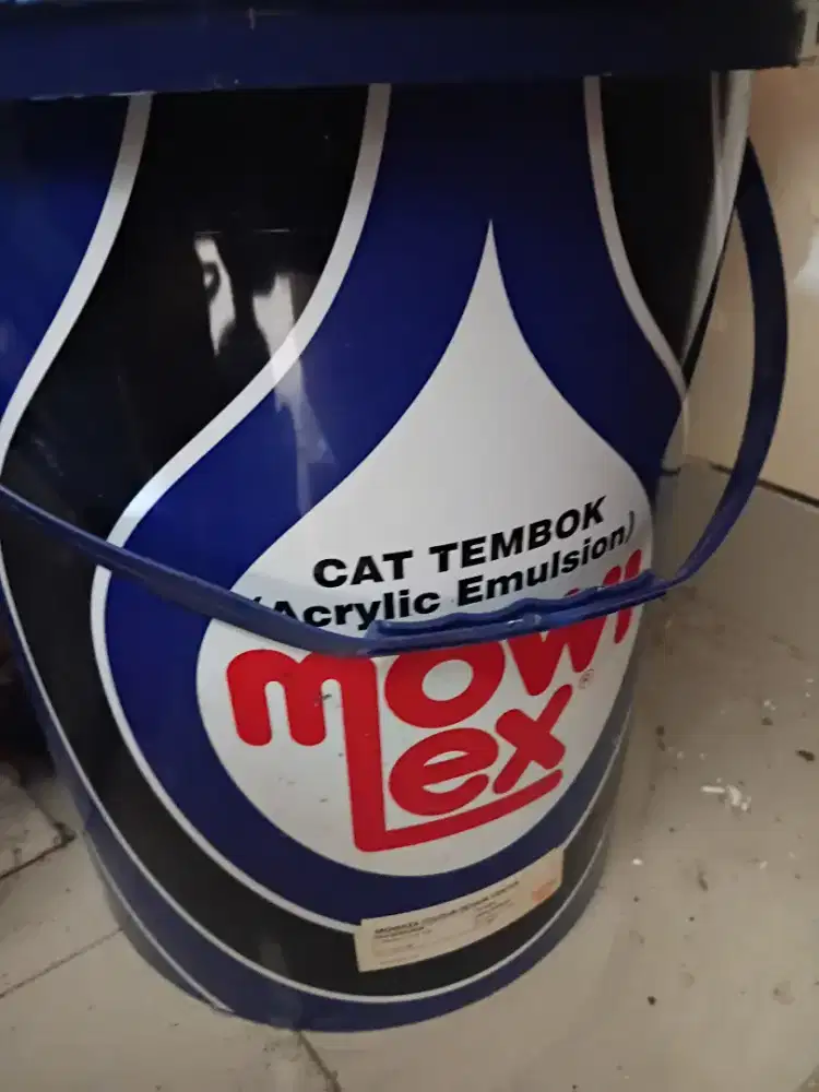 cat mowi lex aseli
