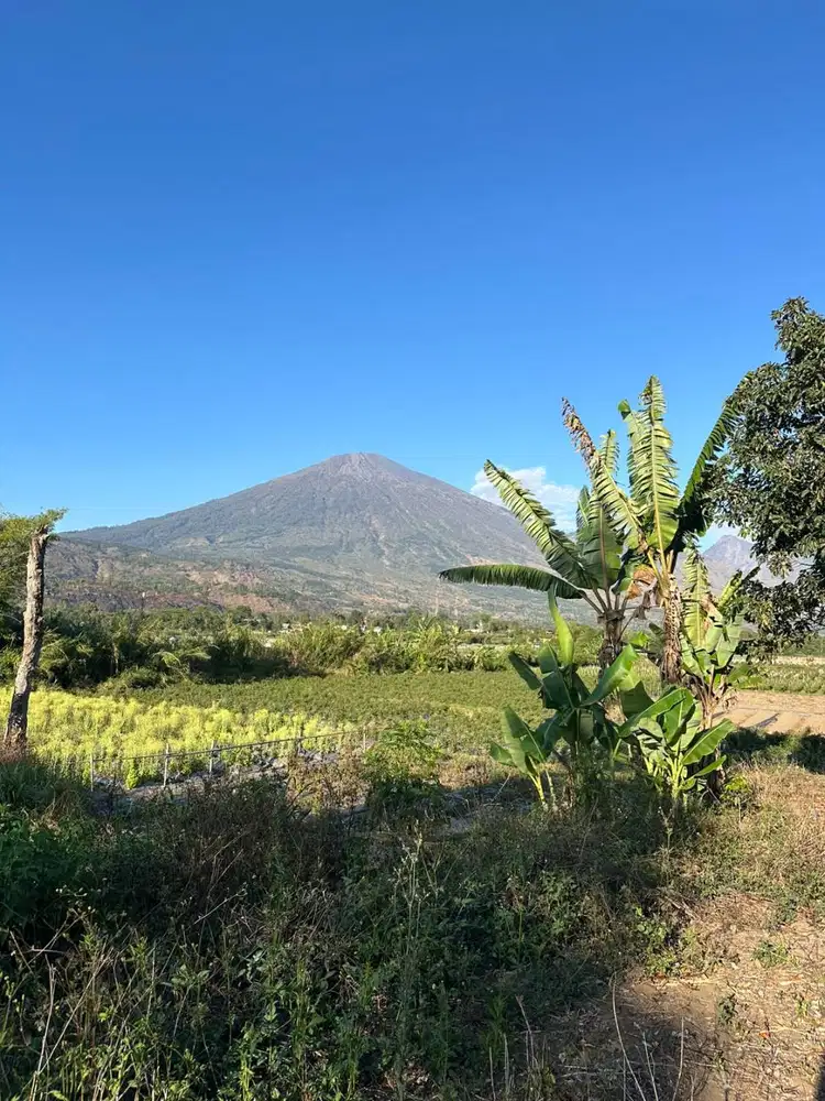 Tanah 40 Are SHM di Sembalun View Gunung Rinjani