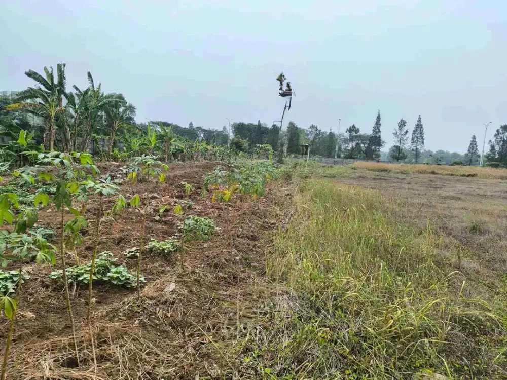 Jual Kavling Tanah Komersil di BSD Barat, SHM, hadap jalan raya