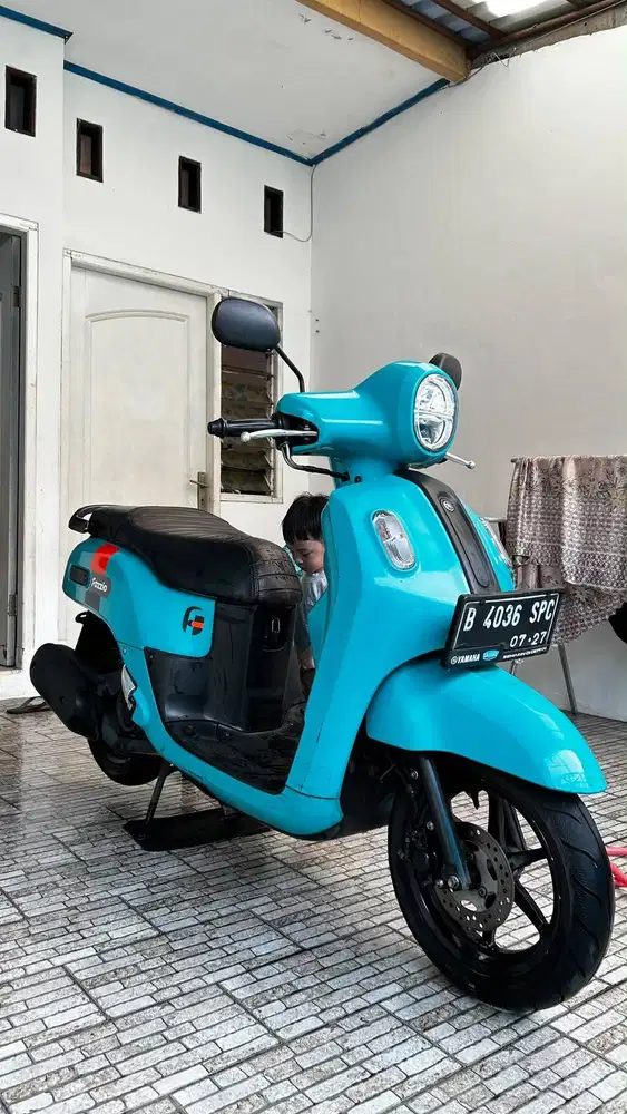 Fazzio 2022 Hijau