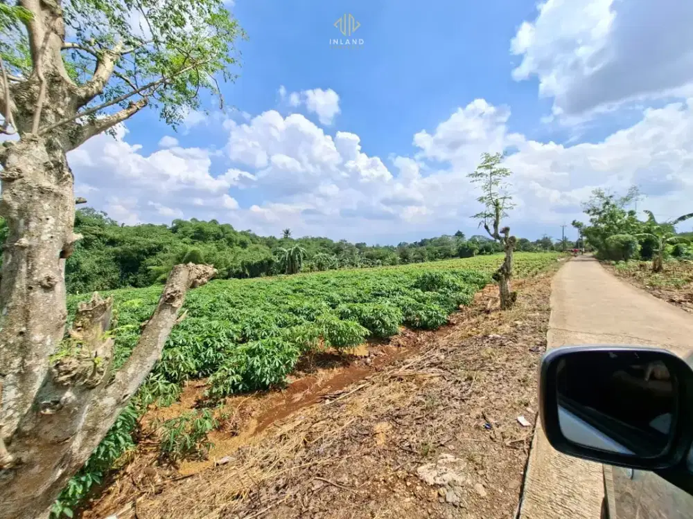 Tanah Strategis Bomang, Tanjur Halang