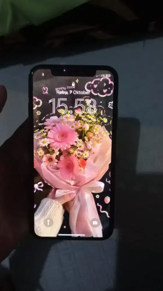 Iphone x 256gb mulus