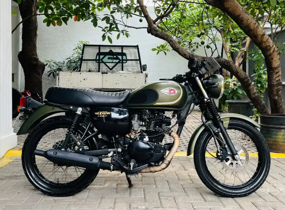 Kawasaki w175 se