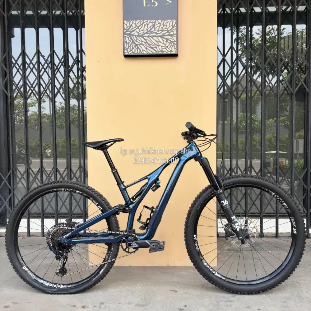 MTB CARBON SPECIALIZED STUMPJUMPER EXPERT 29' ORIGINAL (BISA TT)