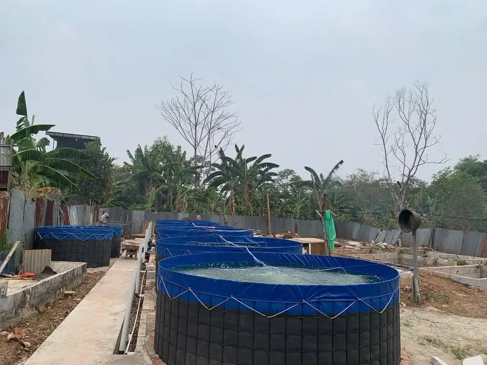 KOLAM IKAN BIOFLOK DAN BIBIT IKAN NILA LELE
