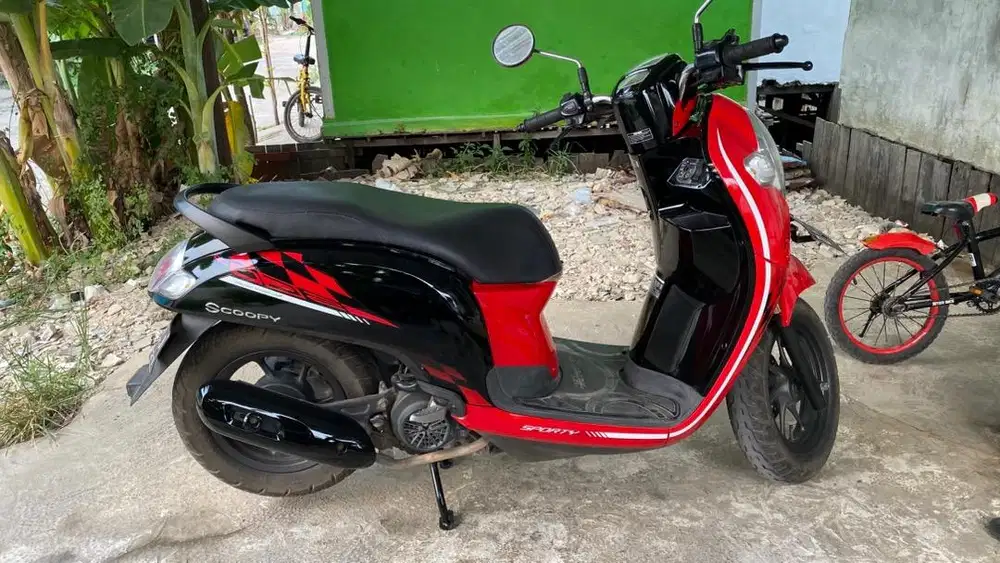 Honda Scoopy donat