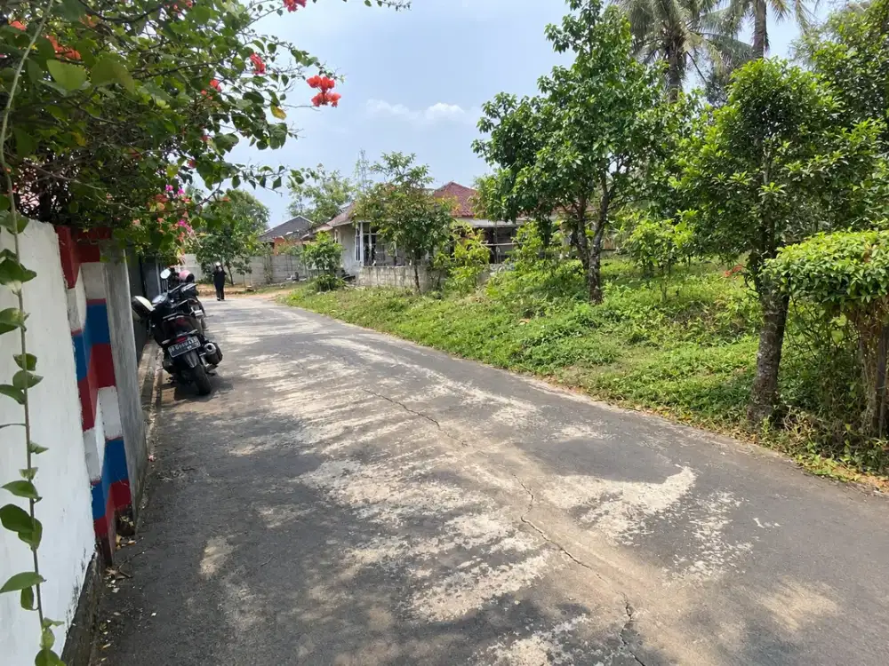 dijual tanah luas 300m JL Naskah km7
