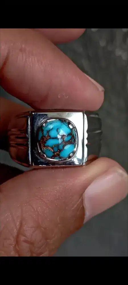 Pirus Persia biru panci ceplok kura kura