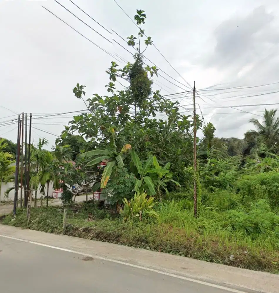 Dijual tanah kosong 2 petak lokasi strategis. Jalan besar dan di sudut