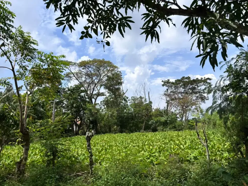 DIJUAL TANAH 300m² SUKARINGIN - BEKASI