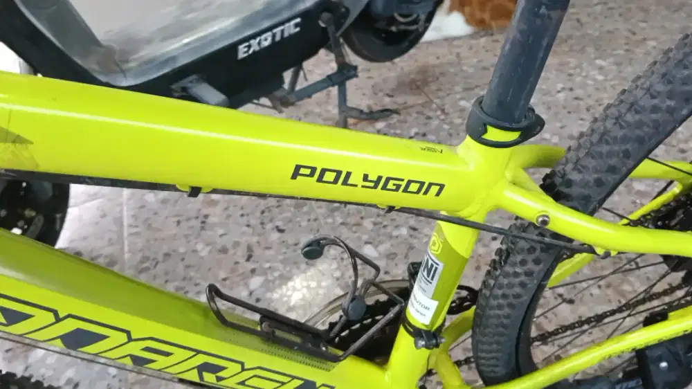 Jual sedanya Poligon ukuran 19