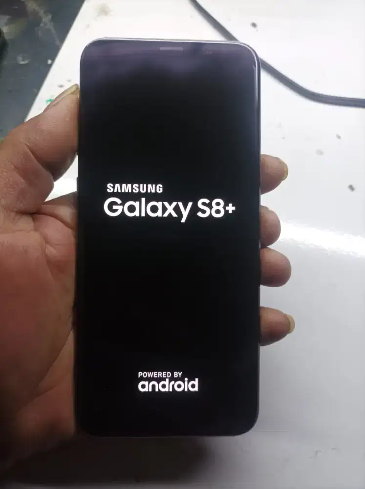 Samsung s8 plus minus