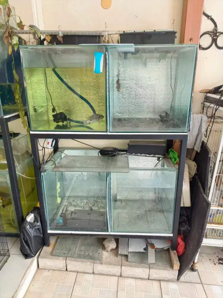 Aquarium 48x48x50 cm x 4 dan rak besi