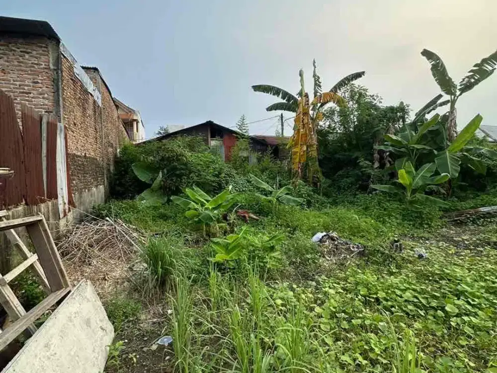 Tanah Jln Pelajar gg Kelapa - Medan