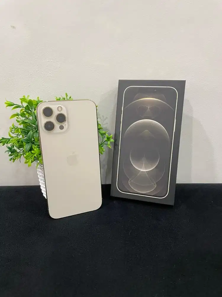 IPhone 12 Promax 128GB Gold mulus Fullset BH 100% 3Utool 100 Permanen