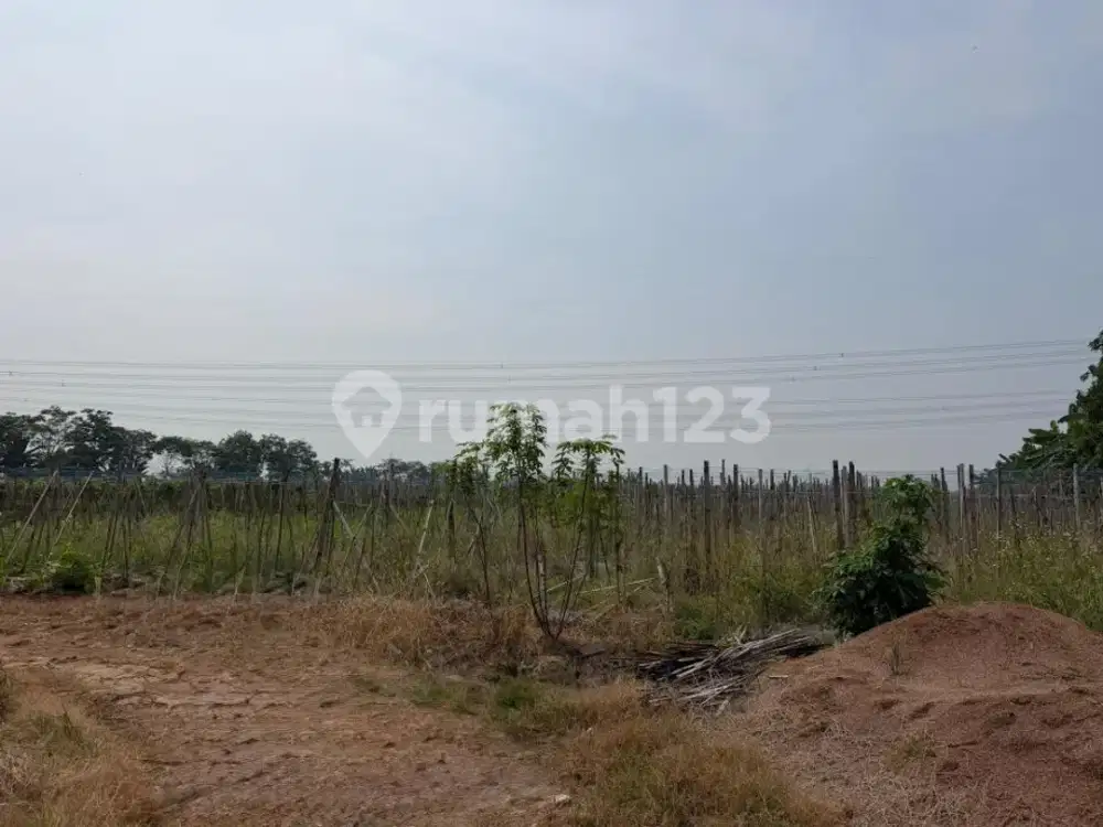 Kavling Luas 16.000M SHM Siap Bangun di Cilegon, Banten