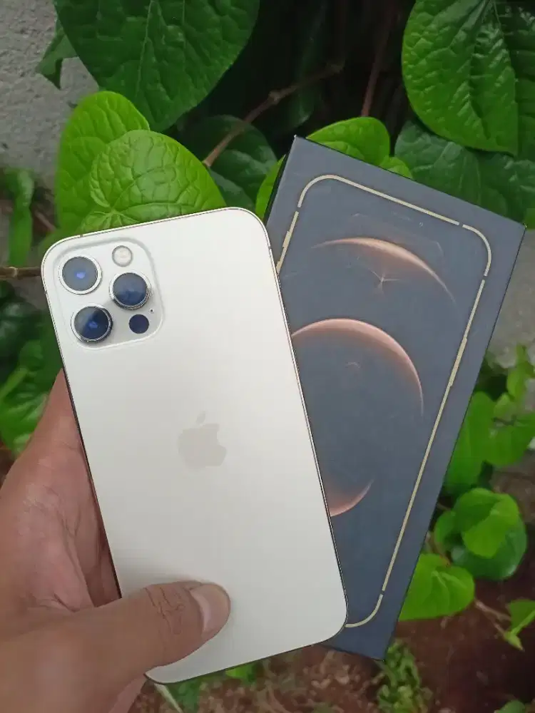 iPhone 12 pro 256 iBox