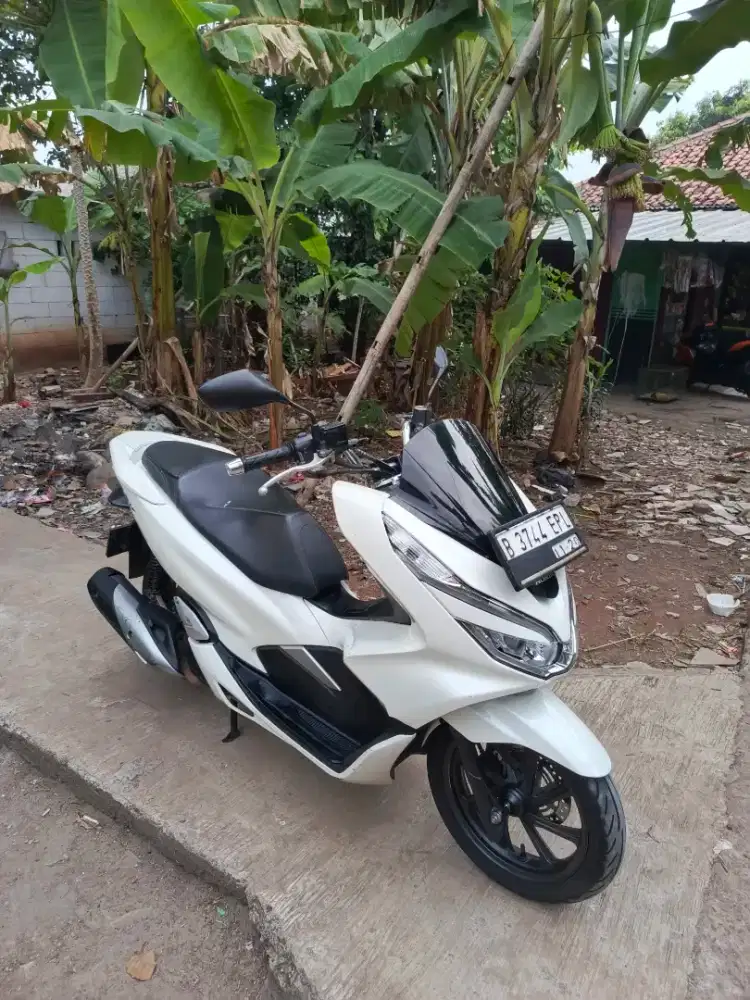 Pcx 150/tahun 2019 rawatan
