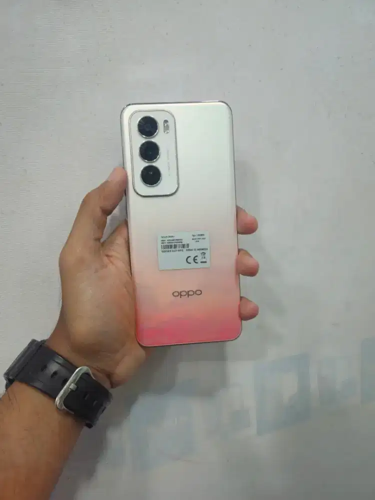 Oppo Reno 12 5G Ram 12/512 GB