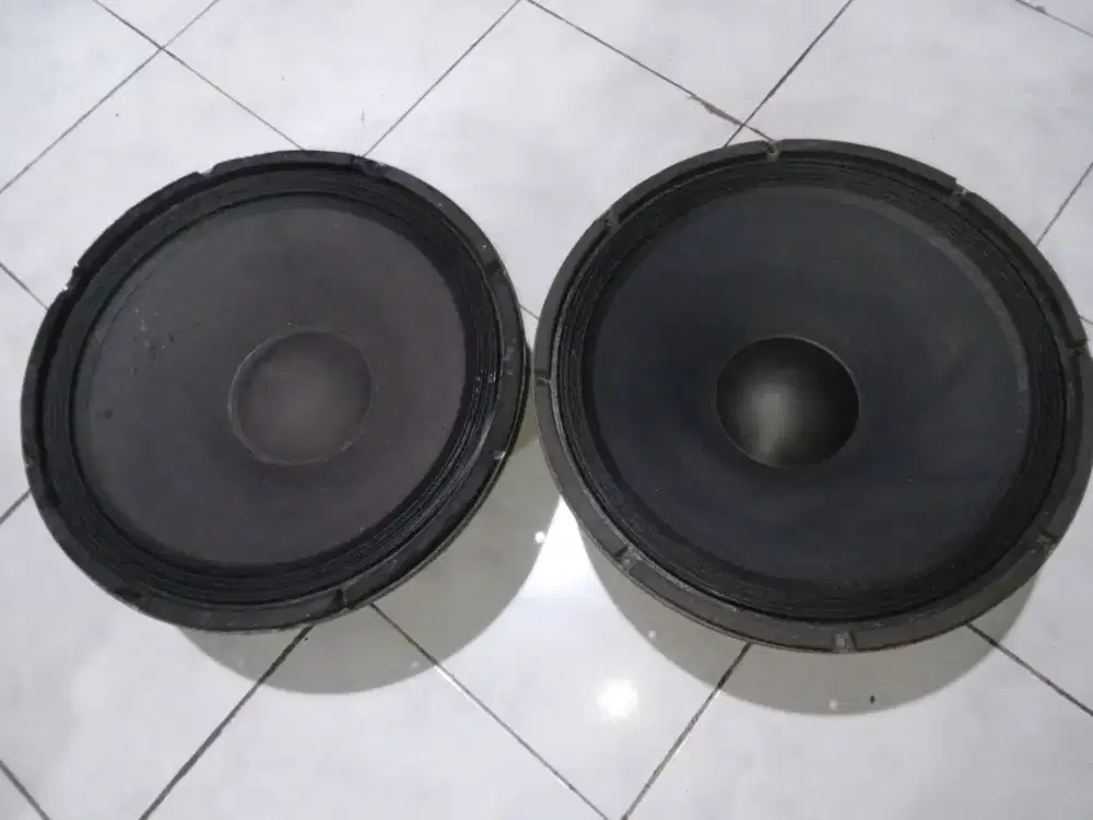 Speaker Eletro  Voice EV 15 sepasang (2pcs)