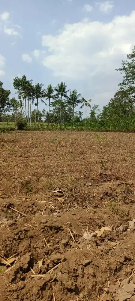 Tanah BU daerah kepanjen Lahan Subur