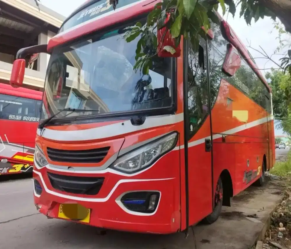 Bus Medium TATA 2017