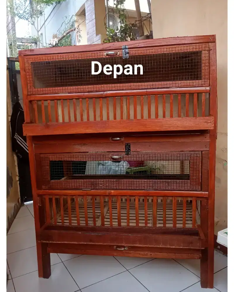 Kandang ayam pembesaran