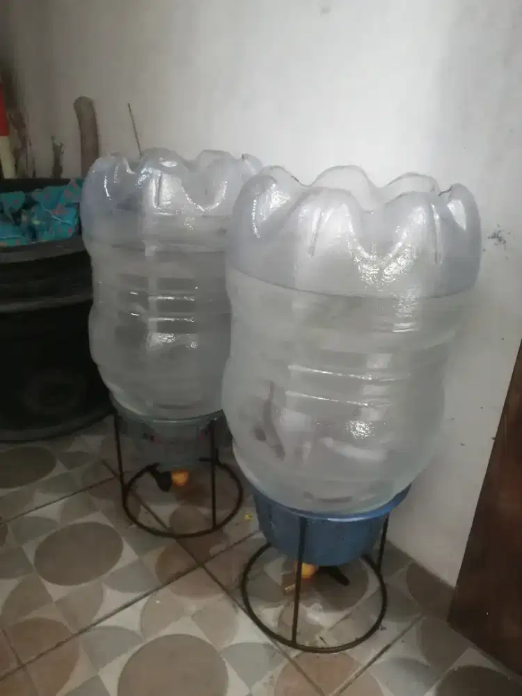 Aquarium galon buat ternak lele