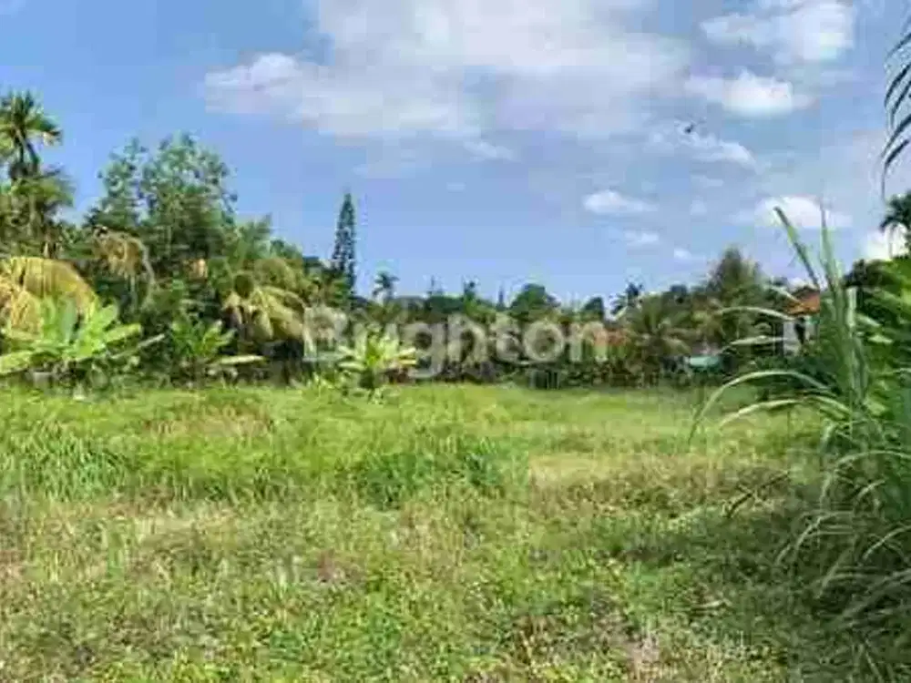 INVESTASI PREMIUM TANAH 40 ARE DI NYUH KUNING UBUD
Jual Tanah
NYUH KUNING - Gianyar